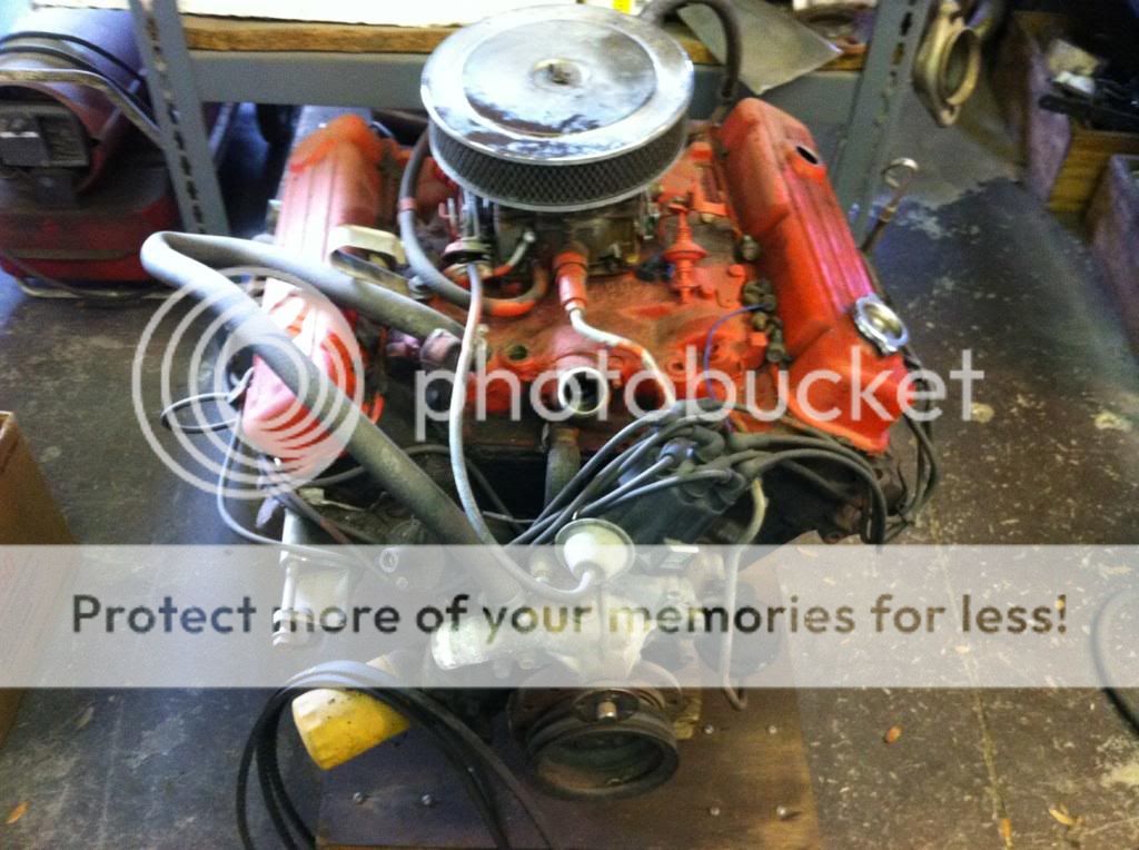 Buick 350 Motor - Horsesean